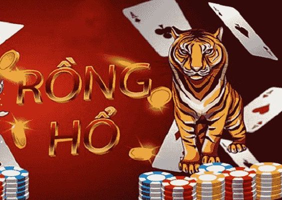 cách chơi rồng hổ